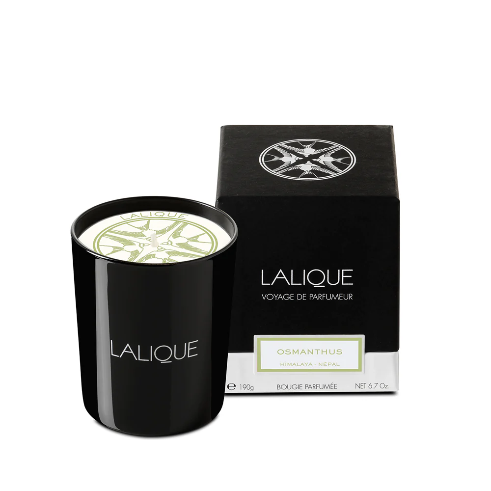 Lalique Vonná svíčka Osmanthus – Himalaya, 190 g B15181